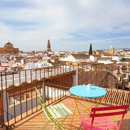 酒店 玛迪娜酒店 4*