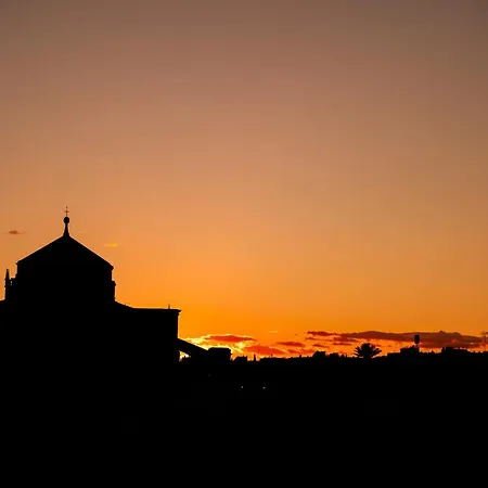 玛迪娜酒店 科爾多瓦